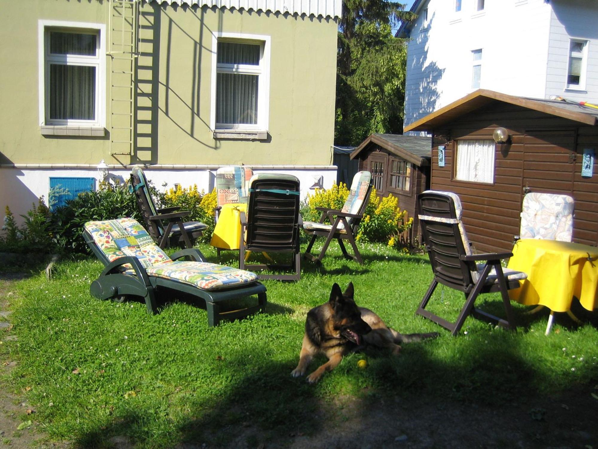 Hotel Fernblick Bad Harzburg Extérieur photo